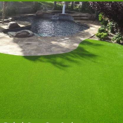BDSresolve lawn grass seeds for park/Lawn Grass Seeds 10000 Seed
