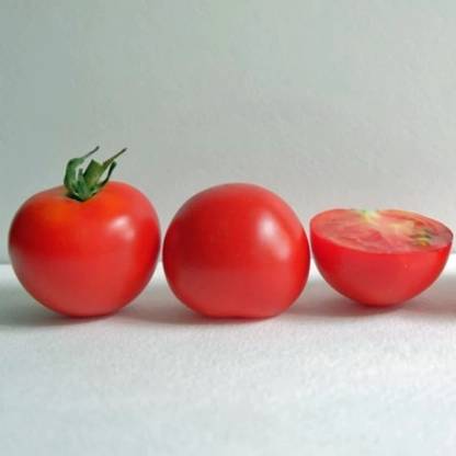 CEZIUS All Season Vegetable Tomato Red Racer Seed