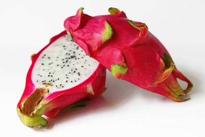 Oliver f1 QUALITY dragon fruit Seed