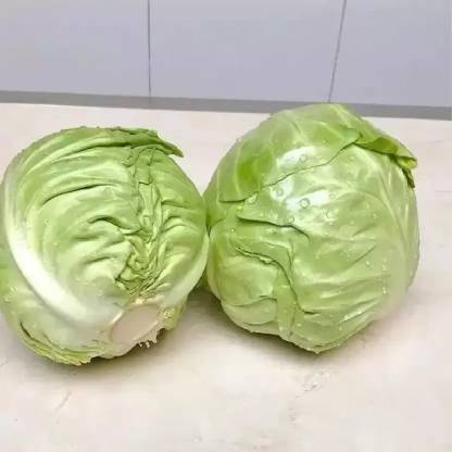 DHENU PRASAD 2705 F1 Hybrid Big Cabbage Seed