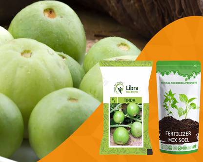 NATURAL AND HERBAL PRODUCTS Vegetable Seeds | Tinda | Indian Squash | Round Gourd | Hybrid | Kitchen Seed