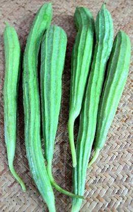 DHENU PRASAD 2149 F1 Hybrid Ridge gourd (turai) Seed
