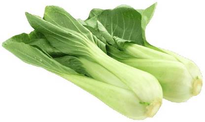 CEZIUS Seeds for Home Garden for Planting Tai Pak Choy (Sawi Putih) Seed