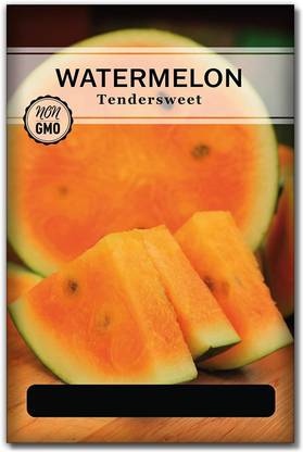 Qualtivate RES-1A Orange Tendersweet Watermelon Seed Seed