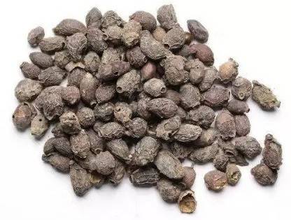 MAA Black Plum, Kala Jamun, Java Plum Seed