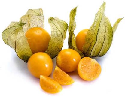 QALANDAR Cape Gooseberry Fruit Spring Ground Seed
