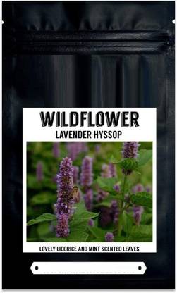 VibeX ® RXI-338 English Lavender (Lavandula) Seed