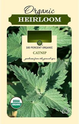 VibeX ® RXI-122 Nepeta Cataria Catmint Seed