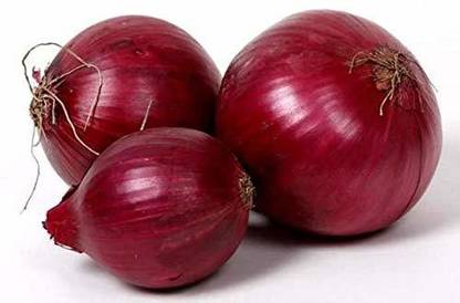VibeX ® VMR-1233 Red Onion Premium Seeds Seed