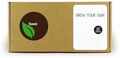 Quinergys Mixed Fruits Seed