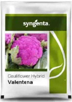 syngenta Cauliflower Seed