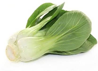 TRICONE Hybrid Vegetable Seeds for Home Gardening Pak choi 50 Seeds FF8 Seed