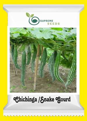 Supreme Chichinga/Snake Gourd Seed