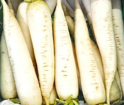 Avysa White Icicle Radish Seed