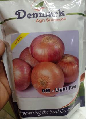 syngenta light red Seed