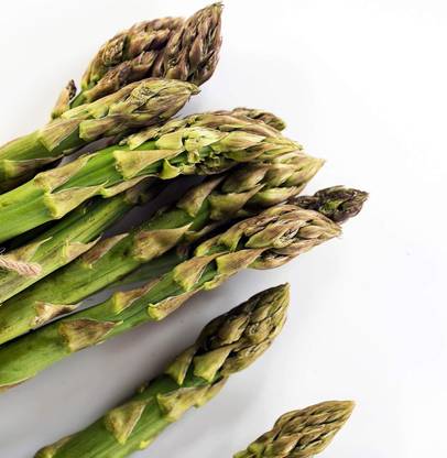 WILLVINE UC 72 Asparagus Garden Seeds-[250 Seeds] Seed