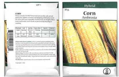 Biosnyg Ambrosia Hybrid Corn Garden Seeds Seed