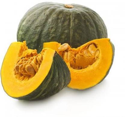 WILLVINE PUAS-169 PUMPKIN YELLOW SEEDS Seed