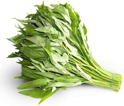BDSresolve chinese spinach seeds/water spinach seeds 53 Seed