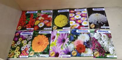 INDO CANADIAN HYBRID SEEDS FLOWER SEEDS Seed