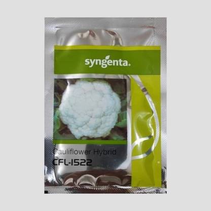 syngenta CFL - 1522 Cauliflower Seeds Seed