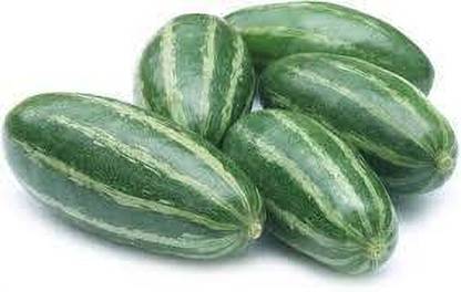 Gromax India Hybrid Pointed gourd Seeds,Parwal,Parval Seed