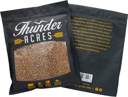 VibeX NDIR-34 - Hard Red Winter Wheat - (2500 Seeds) Seed