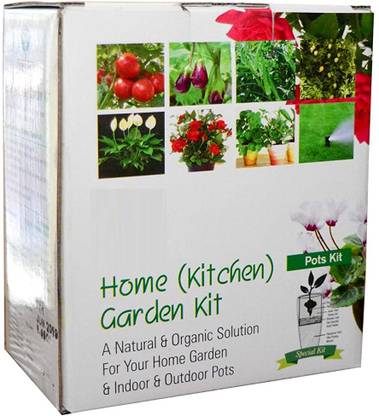 VibeX Jaamun - Gardening Kit for Home and Garden Seed