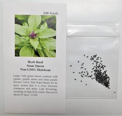 CYBEXIS GUA-32 - Siam Queen Thai Basil - (1500 Seeds) Seed