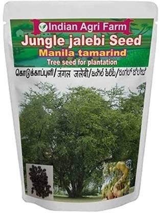 IAgriFarm Jungle Jalebi Fruit Seeds | MadrasThorn- for cultivation Approx 1750 Seed