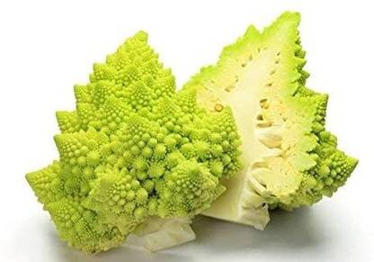 VibeX ® VLR-733 Roman Cauliflower, Fractal Broccoli Seed