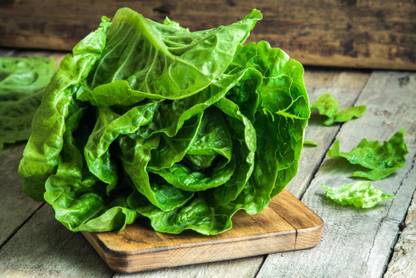 DEYS AGRO ™ lettuce seeds,high germination Seed
