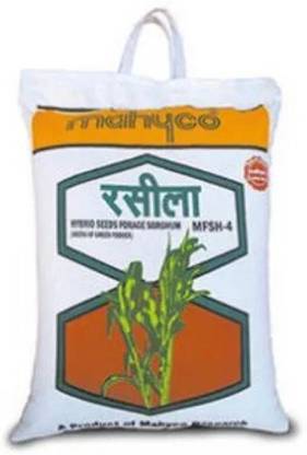 FRESHO raseela hybrid chari seeds Seed