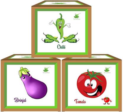 Sow and Grow Seed Starter Vegetable Grow Kits Pack of 3 : Brinjal + Chilli + Tomato Seed