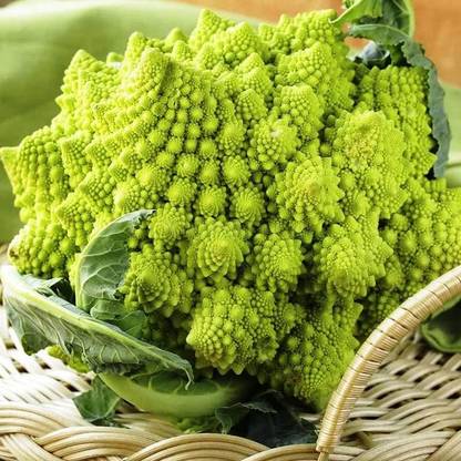 VibeX ® VXI-592 F1 Romanesco Broccoli Seed Seed