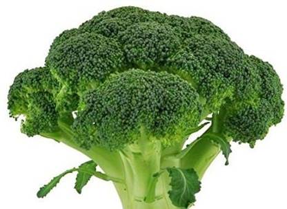 Aro Broccoli Seed