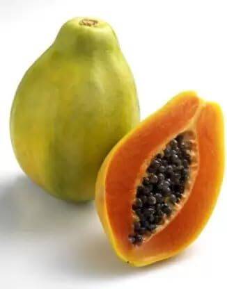 Lorvox Taiwan red Lady 786 papaya f15 Seed