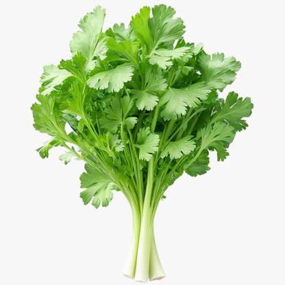 ASPEN Coriander | Dhaniya | Kothamalli Seed