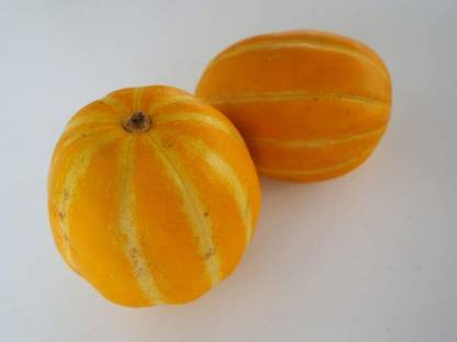 Qualtivate PUA-8A Rare Apple Melon Wild Muskmelon Seed