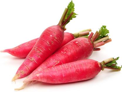 Qualtivate RES-2A Radish - Chinese - Shunkyo Seed