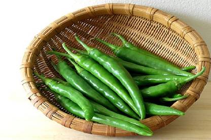 granthi Green Chilli(Hari Mirch) / हरी मिर्च Seed