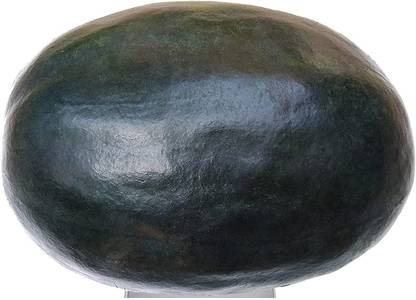 VibeX PAU-62 - Black Diamond Watermelon - (150 Seeds) Seed