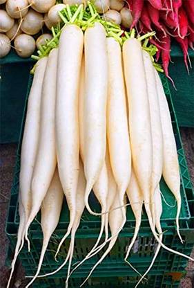 CHILLATAI Raddish Seeds / Mullangi Seed
