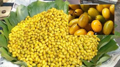 Nodoc Khirni fruit Seed