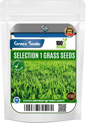 Sansar Green Selection 1 Grass Seeds for Lawn Seed
