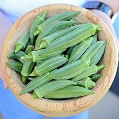 KNESSiN Germination Seeds of Jambalaya Okra Seed