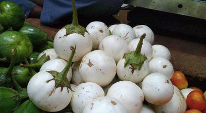 MSG WHITE BRINJAL, SADA BEGUN, safed baingan Seed