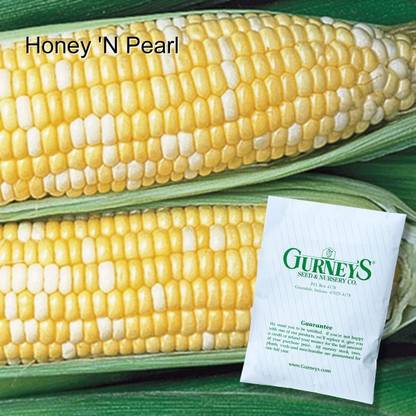 Qualtivate XXX-5A Honey 'n Pearl Sweet Corn Seed