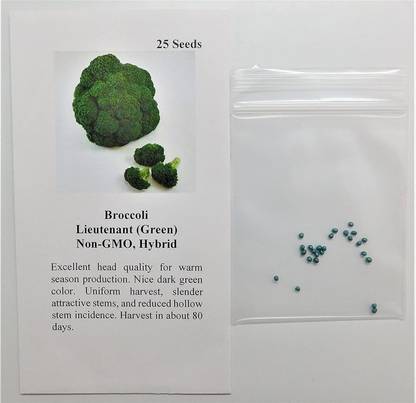 VibeX ® RXI-429 Broccoli Lieutenant (Green) Seed