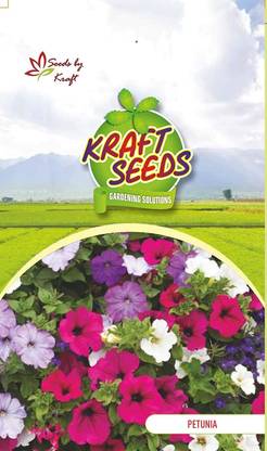CYBEXIS Petunia F1 Hybrid Flower Mix GMO-Free Seeds Seed